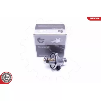 Thermostat, liquide de refroidissement ESEN SKV 20SKV063