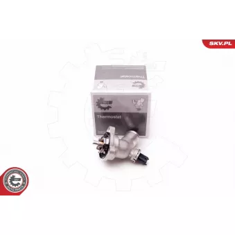 Thermostat, liquide de refroidissement ESEN SKV