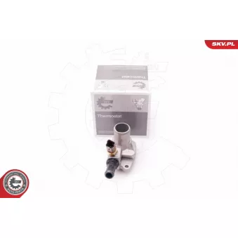 Thermostat, liquide de refroidissement ESEN SKV 20SKV076