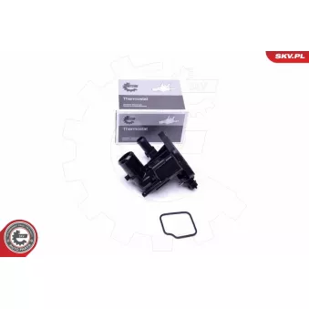Thermostat, liquide de refroidissement ESEN SKV 20SKV087
