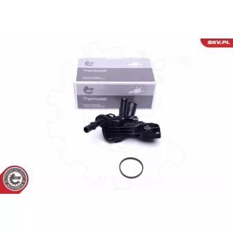 Thermostat, liquide de refroidissement ESEN SKV 20SKV111