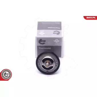 Thermostat, liqiuide de refroidissement ESEN SKV 20SKV131