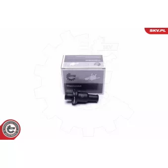 Thermostat, liqiuide de refroidissement ESEN SKV 20SKV148