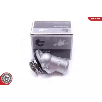 Thermostat, liqiuide de refroidissement ESEN SKV 20SKV156