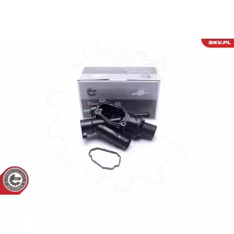 Thermostat, liqiuide de refroidissement ESEN SKV 20SKV160