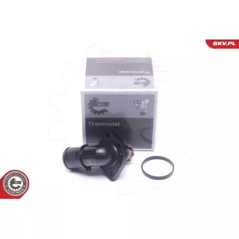 Thermostat, liqiuide de refroidissement ESEN SKV 20SKV166
