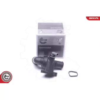 Thermostat, liqiuide de refroidissement ESEN SKV 20SKV172
