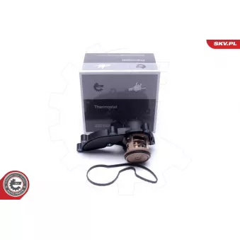 Thermostat, liqiuide de refroidissement ESEN SKV 20SKV178