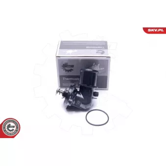 Thermostat, liqiuide de refroidissement ESEN SKV