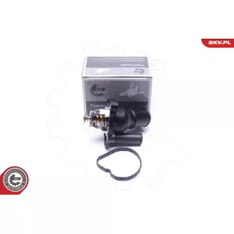 Thermostat, liqiuide de refroidissement ESEN SKV