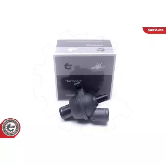 Thermostat, liqiuide de refroidissement ESEN SKV