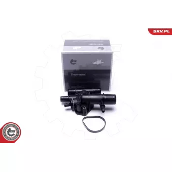 Thermostat, liqiuide de refroidissement ESEN SKV 20SKV204
