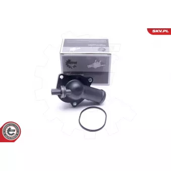Thermostat, liqiuide de refroidissement ESEN SKV 20SKV205