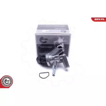 Thermostat, liqiuide de refroidissement ESEN SKV 20SKV214