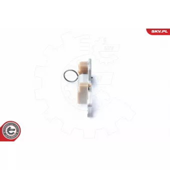 Valve de commande, réglage d'arbres à came ESEN SKV 21SKV021