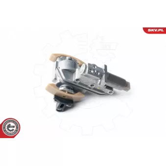 Valve de commande, réglage d'arbres à came ESEN SKV 21SKV051