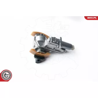 Valve de commande, réglage d'arbres à came ESEN SKV 21SKV071