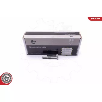 Tendeur, chaîne de distribution ESEN SKV 21SKV072