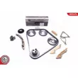 Kit de distribution par chaîne ESEN SKV 21SKV207 - Visuel 1