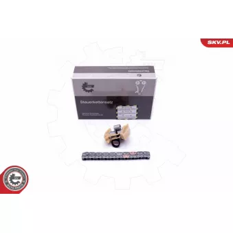 Kit de distribution par chaîne ESEN SKV 21SKV227