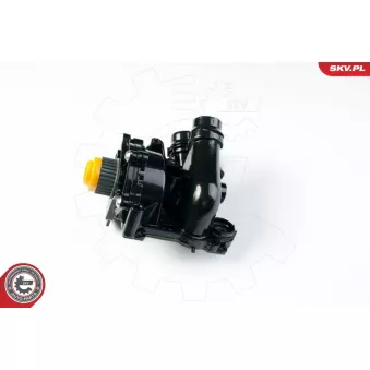 Kit pompe à eau ESEN SKV 22SKV001