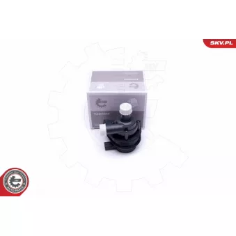 Pompe de circulation d'eau, chauffage auxiliaire ESEN SKV