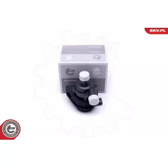 Pompe de circulation d'eau, chauffage auxiliaire ESEN SKV