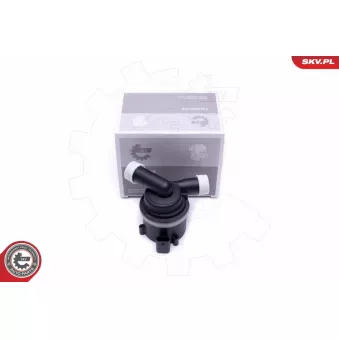 Pompe de circulation d'eau, chauffage auxiliaire ESEN SKV