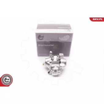 Étrier de frein arrière droit ESEN SKV 23SKV384