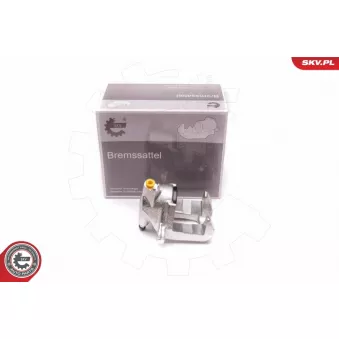 Étrier de frein arrière droit ESEN SKV