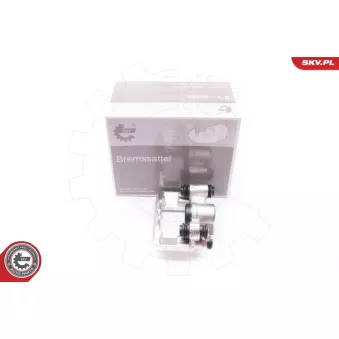 Étrier de frein arrière gauche ESEN SKV 23SKV423