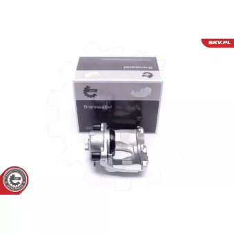 Étrier de frein ESEN SKV
