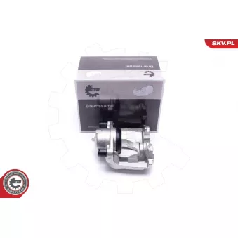 Étrier de frein ESEN SKV