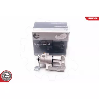 Étrier de frein arrière droit ESEN SKV 23SKV894