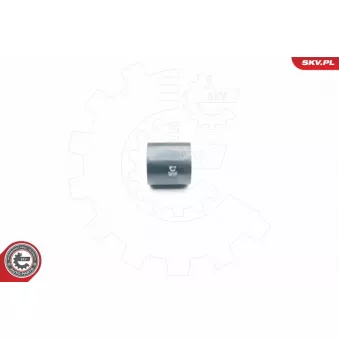 Gaine de suralimentation ESEN SKV 24SKV092