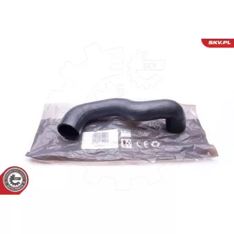 Gaine de suralimentation ESEN SKV