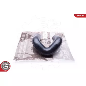 Gaine de suralimentation ESEN SKV 24SKV169