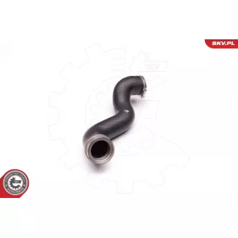 Gaine de suralimentation ESEN SKV 24SKV198