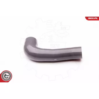 Gaine de suralimentation ESEN SKV 24SKV424