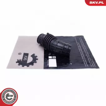 Tuyau d'aspiration, alimentation d'air arrière gauche ESEN SKV