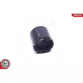 Gaine de suralimentation ESEN SKV 24SKV515