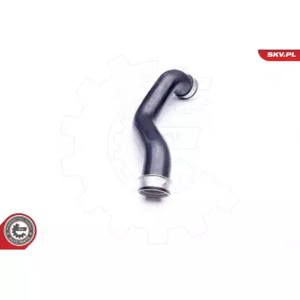 Gaine de suralimentation ESEN SKV 24SKV629