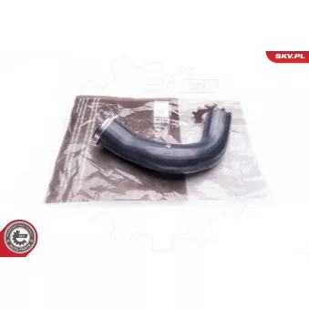 Gaine de suralimentation ESEN SKV 24SKV644