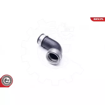 Gaine de suralimentation ESEN SKV 24SKV649