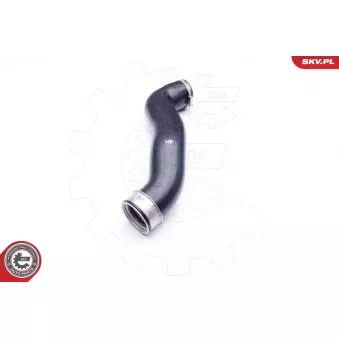 Gaine de suralimentation ESEN SKV 24SKV698