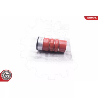 Gaine de suralimentation ESEN SKV