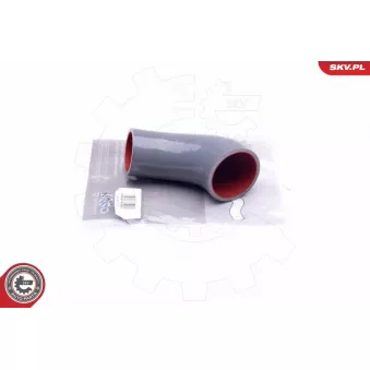 Gaine de suralimentation ESEN SKV