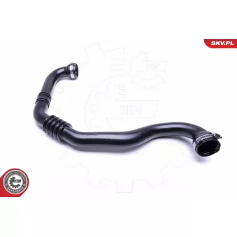 Gaine de suralimentation ESEN SKV 24SKV742