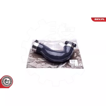 Gaine de suralimentation ESEN SKV 24SKV764