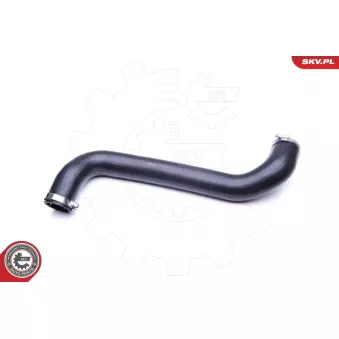 Gaine de suralimentation ESEN SKV